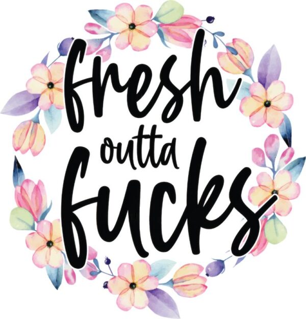 Heat transfers Iron on stickers  Obscene Curse Swear Bad words 21 for Tshirts Iron on Decal Patches Stickers Clothes Hat Pillows DIY Crafts