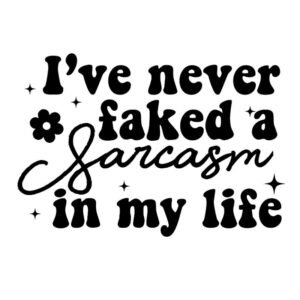 Heat transfers Iron on stickers  Obscene Curse Swear Bad words 35 for Tshirts Iron on Decal Patches Stickers Clothes Hat Pillows DIY Crafts