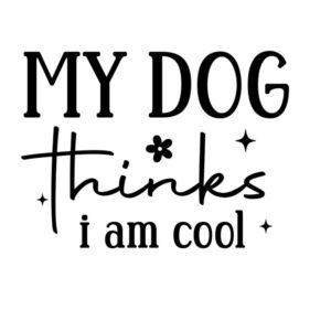 Heat transfers Iron on stickers  Obscene Curse Swear Bad words 72 for Tshirts Iron on Decal Patches Stickers Clothes Hat Pillows DIY Crafts