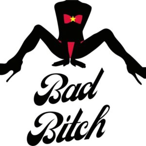 Heat transfers Iron on stickers  Obscene Curse Swear Bad words 90 for Tshirts Iron on Decal Patches Stickers Clothes Hat Pillows DIY Crafts