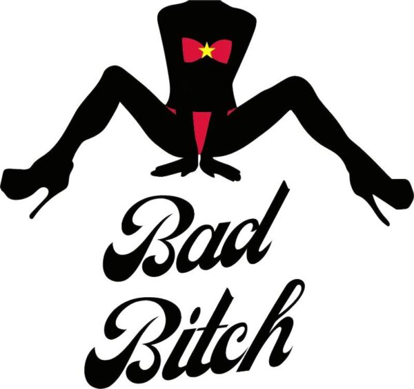 Heat transfers Iron on stickers  Obscene Curse Swear Bad words 90 for Tshirts Iron on Decal Patches Stickers Clothes Hat Pillows DIY Crafts