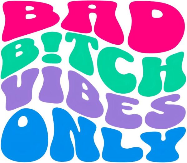 Heat transfers Iron on stickers  Obscene Curse Swear Bad words 91 for Tshirts Iron on Decal Patches Stickers Clothes Hat Pillows DIY Crafts