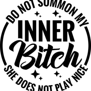 Heat transfers Iron on stickers  Obscene Curse Swear Bad words 96 for Tshirts Iron on Decal Patches Stickers Clothes Hat Pillows DIY Crafts