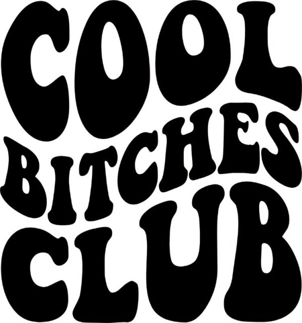 Heat transfers Iron on stickers  Obscene Curse Swear Bad words 98 for Tshirts Iron on Decal Patches Stickers Clothes Hat Pillows DIY Crafts