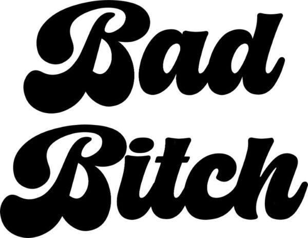 Heat transfers Iron on stickers  Obscene Curse Swear Bad words 99 for Tshirts Iron on Decal Patches Stickers Clothes Hat Pillows DIY Crafts