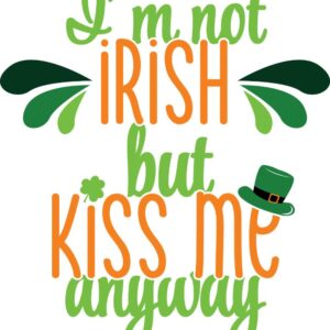 Heat transfers Iron on stickers  St Patricks Day 42 for Tshirts Iron on Decal Patches Stickers Clothes Hat Pillows DIY Crafts