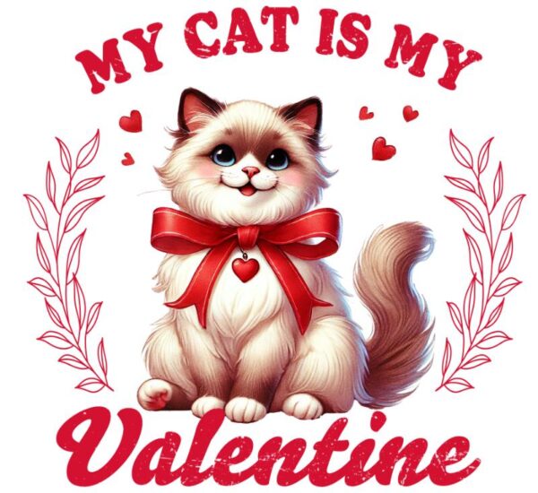 Heat transfers Iron on stickers  Valentine`s Day Valentine lover 169 for Tshirts Iron on Decal Patches Stickers Clothes Hat Pillows DIY Crafts