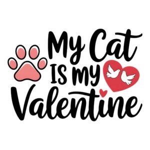Heat transfers Iron on stickers  Valentine`s Day Valentine lover 250 for Tshirts Iron on Decal Patches Stickers Clothes Hat Pillows DIY Crafts