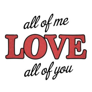 Heat transfers Iron on stickers  Valentine`s Day Valentine lover 259 for Tshirts Iron on Decal Patches Stickers Clothes Hat Pillows DIY Crafts