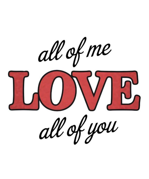 Heat transfers Iron on stickers  Valentine`s Day Valentine lover 259 for Tshirts Iron on Decal Patches Stickers Clothes Hat Pillows DIY Crafts