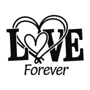 Heat transfers Iron on stickers  Valentine`s Day Valentine lover 411 for Tshirts Iron on Decal Patches Stickers Clothes Hat Pillows DIY Crafts