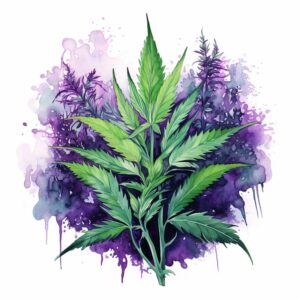 Heat transfers Iron on stickers Weeds 420 Cannabis happy plant 146 for Tshirts Iron on Decal Patches Stickers Clothes Hat Pillows DIY Crafts