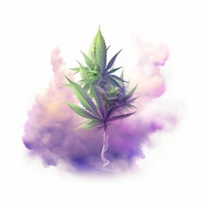 Heat transfers Iron on stickers Weeds 420 Cannabis happy plant 189 for Tshirts Iron on Decal Patches Stickers Clothes Hat Pillows DIY Crafts