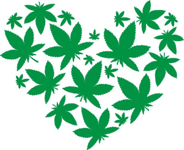 Heat transfers Iron on stickers Weeds 420 Cannabis happy plant 193 for Tshirts Iron on Decal Patches Stickers Clothes Hat Pillows DIY Crafts