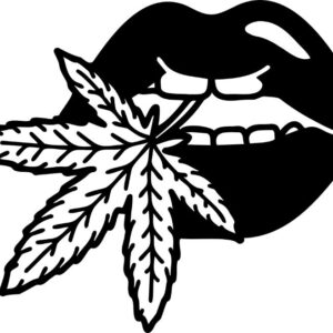 Heat transfers Iron on stickers Weeds 420 Cannabis happy plant 205 for Tshirts Iron on Decal Patches Stickers Clothes Hat Pillows DIY Crafts