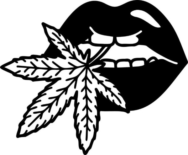 Heat transfers Iron on stickers Weeds 420 Cannabis happy plant 205 for Tshirts Iron on Decal Patches Stickers Clothes Hat Pillows DIY Crafts