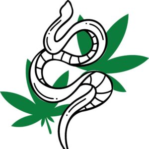 Heat transfers Iron on stickers Weeds 420 Cannabis happy plant 28 for Tshirts Iron on Decal Patches Stickers Clothes Hat Pillows DIY Crafts