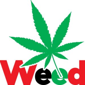 Heat transfers Iron on stickers Weeds 420 Cannabis happy plant 288 for Tshirts Iron on Decal Patches Stickers Clothes Hat Pillows DIY Crafts