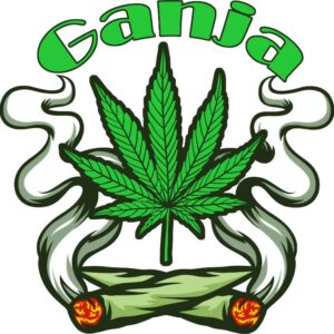 Heat transfers Iron on stickers Weeds 420 Cannabis happy plant 91 for Tshirts Iron on Decal Patches Stickers Clothes Hat Pillows DIY Crafts