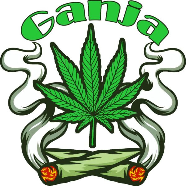 Heat transfers Iron on stickers Weeds 420 Cannabis happy plant 91 for Tshirts Iron on Decal Patches Stickers Clothes Hat Pillows DIY Crafts