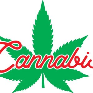 Heat transfers Iron on stickers Weeds 420 Cannabis happy plant 316 for Tshirts Iron on Decal Patches Stickers Clothes Hat Pillows DIY Crafts