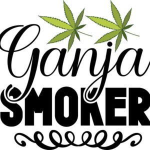 Heat transfers Iron on stickers Weeds 420 Cannabis happy plant 331 for Tshirts Iron on Decal Patches Stickers Clothes Hat Pillows DIY Crafts