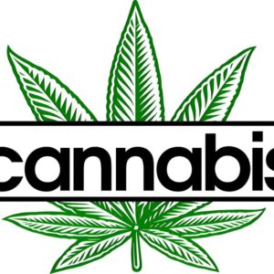 Heat transfers Iron on stickers Weeds 420 Cannabis happy plant 357 for Tshirts Iron on Decal Patches Stickers Clothes Hat Pillows DIY Crafts