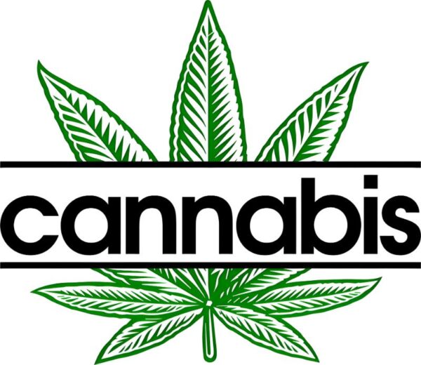 Heat transfers Iron on stickers Weeds 420 Cannabis happy plant 357 for Tshirts Iron on Decal Patches Stickers Clothes Hat Pillows DIY Crafts