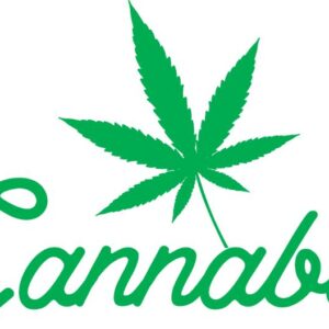 Heat transfers Iron on stickers Weeds 420 Cannabis happy plant 377 for Tshirts Iron on Decal Patches Stickers Clothes Hat Pillows DIY Crafts