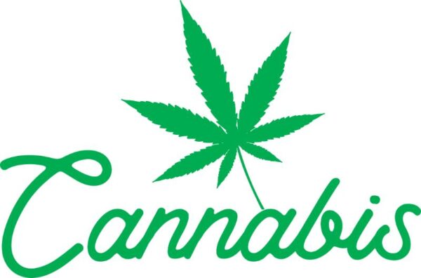Heat transfers Iron on stickers Weeds 420 Cannabis happy plant 377 for Tshirts Iron on Decal Patches Stickers Clothes Hat Pillows DIY Crafts
