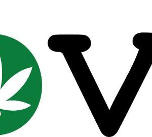 Heat transfers Iron on stickers Weeds 420 Cannabis happy plant 421 for Tshirts Iron on Decal Patches Stickers Clothes Hat Pillows DIY Crafts