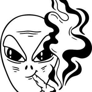 Heat transfers Iron on stickers Weeds 420 Cannabis happy plant 432 for Tshirts Iron on Decal Patches Stickers Clothes Hat Pillows DIY Crafts