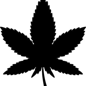 Heat transfers Iron on stickers Weeds 420 Cannabis happy plant 437 for Tshirts Iron on Decal Patches Stickers Clothes Hat Pillows DIY Crafts