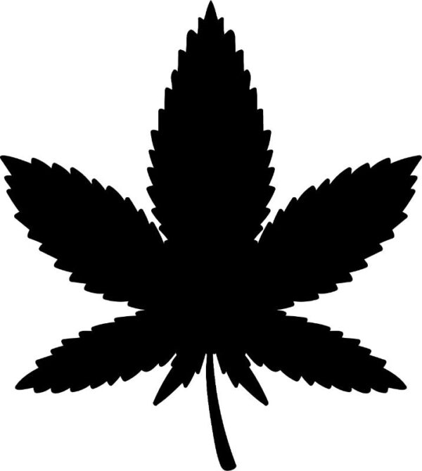 Heat transfers Iron on stickers Weeds 420 Cannabis happy plant 437 for Tshirts Iron on Decal Patches Stickers Clothes Hat Pillows DIY Crafts