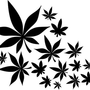 Heat transfers Iron on stickers Weeds 420 Cannabis happy plant 100 for Tshirts Iron on Decal Patches Stickers Clothes Hat Pillows DIY Crafts