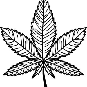 Heat transfers Iron on stickers Weeds 420 Cannabis happy plant 111 for Tshirts Iron on Decal Patches Stickers Clothes Hat Pillows DIY Crafts