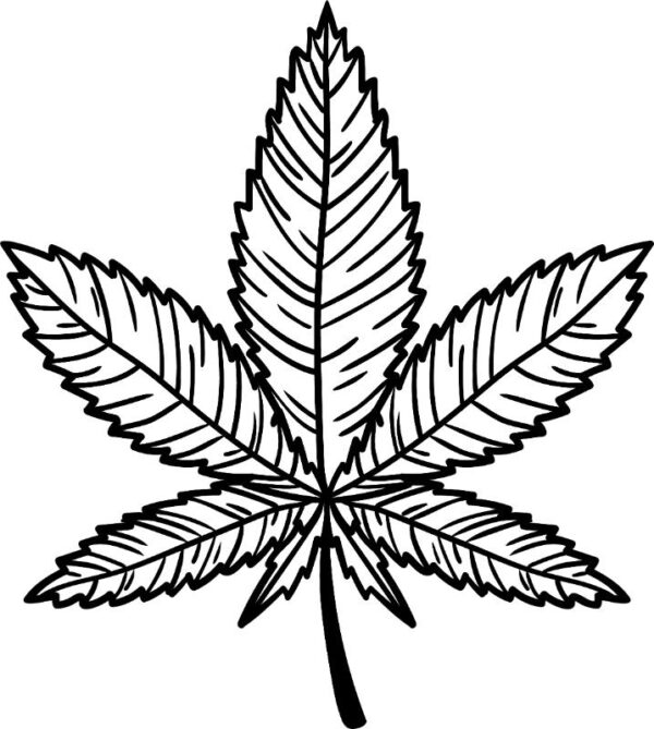 Heat transfers Iron on stickers Weeds 420 Cannabis happy plant 111 for Tshirts Iron on Decal Patches Stickers Clothes Hat Pillows DIY Crafts