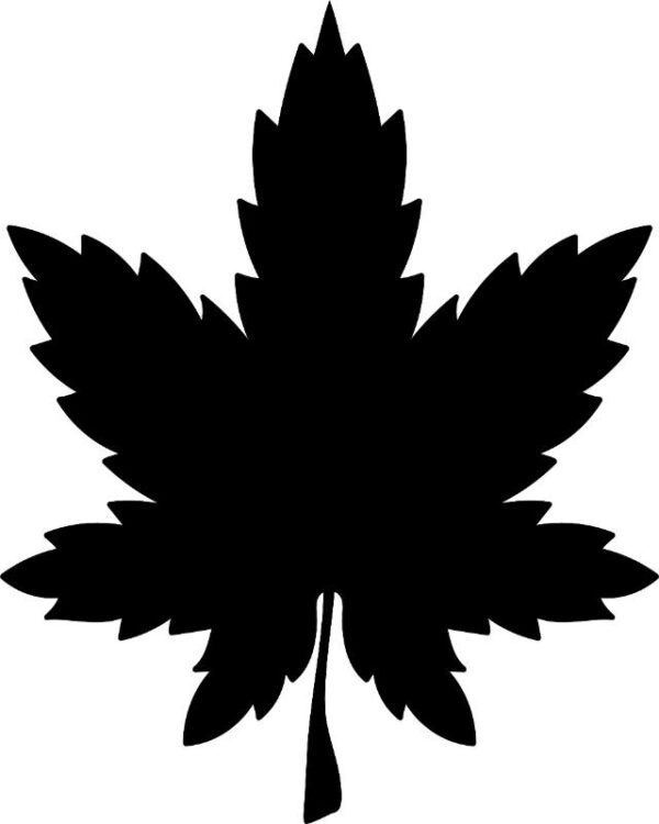 Heat transfers Iron on stickers Weeds 420 Cannabis happy plant 119 for Tshirts Iron on Decal Patches Stickers Clothes Hat Pillows DIY Crafts
