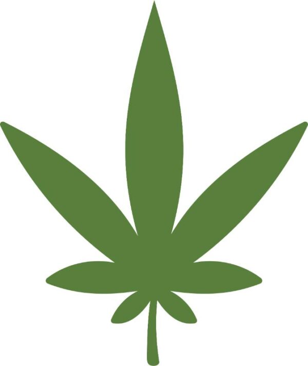 Heat transfers Iron on stickers Weeds 420 Cannabis happy plant 122 for Tshirts Iron on Decal Patches Stickers Clothes Hat Pillows DIY Crafts