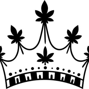 Heat transfers Iron on stickers Weeds 420 Cannabis happy plant 16 for Tshirts Iron on Decal Patches Stickers Clothes Hat Pillows DIY Crafts