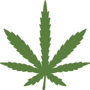 Heat transfers Iron on stickers Weeds 420 Cannabis happy plant 21 for Tshirts Iron on Decal Patches Stickers Clothes Hat Pillows DIY Crafts