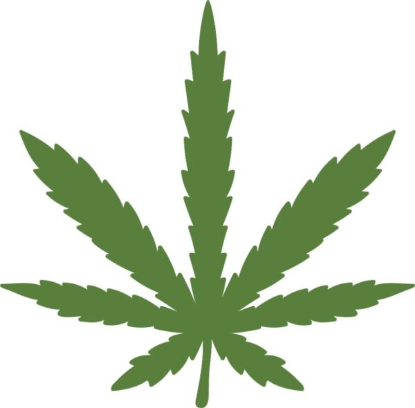 Heat transfers Iron on stickers Weeds 420 Cannabis happy plant 21 for Tshirts Iron on Decal Patches Stickers Clothes Hat Pillows DIY Crafts