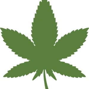 Heat transfers Iron on stickers Weeds 420 Cannabis happy plant 254 for Tshirts Iron on Decal Patches Stickers Clothes Hat Pillows DIY Crafts