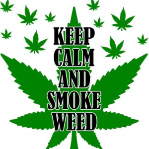 Heat transfers Iron on stickers Weeds 420 Cannabis happy plant 99for Tshirts Iron on Decal Patches Stickers Clothes Hat Pillows DIY Crafts