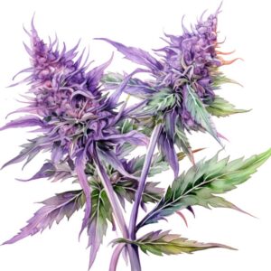 Heat transfers Iron on stickers Weeds 420 Cannabis happy plant 308 for Tshirts Iron on Decal Patches Stickers Clothes Hat Pillows DIY Crafts