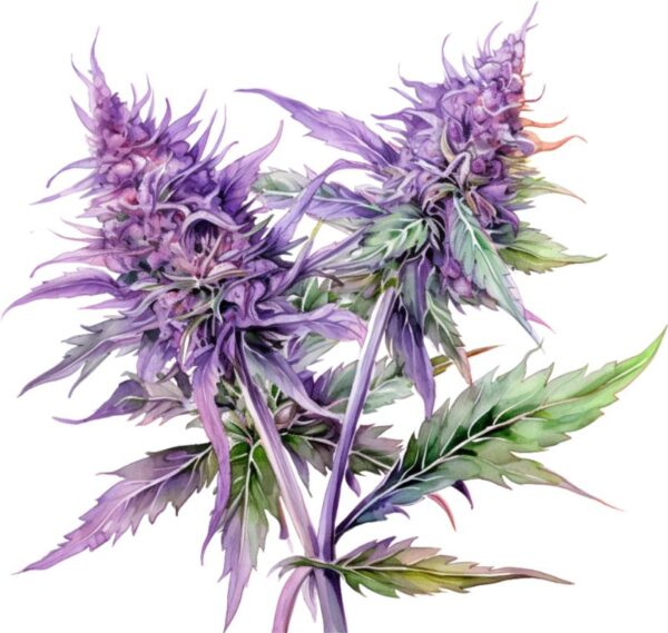 Heat transfers Iron on stickers Weeds 420 Cannabis happy plant 308 for Tshirts Iron on Decal Patches Stickers Clothes Hat Pillows DIY Crafts