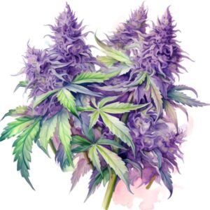 Heat transfers Iron on stickers Weeds 420 Cannabis happy plant 311 for Tshirts Iron on Decal Patches Stickers Clothes Hat Pillows DIY Crafts
