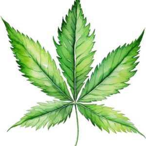 Heat transfers Iron on stickers Weeds 420 Cannabis happy plant 32 for Tshirts Iron on Decal Patches Stickers Clothes Hat Pillows DIY Crafts