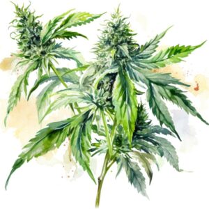 Heat transfers Iron on stickers Weeds 420 Cannabis happy plant 327 for Tshirts Iron on Decal Patches Stickers Clothes Hat Pillows DIY Crafts