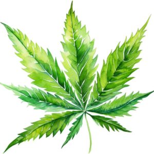 Heat transfers Iron on stickers Weeds 420 Cannabis happy plant 331 for Tshirts Iron on Decal Patches Stickers Clothes Hat Pillows DIY Crafts
